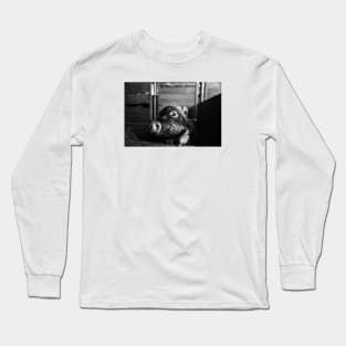 Mini Pig / Swiss Artwork Photography Long Sleeve T-Shirt